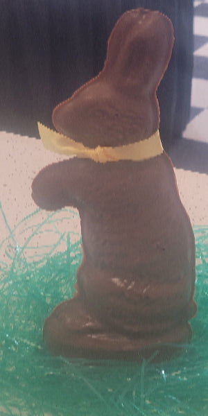 Large Bunny w/Paws