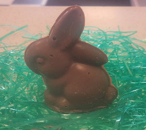 Small Smooth Bunny